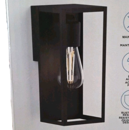 Lutec 1-Light Hardwired Outdoor Wall Light Sconce