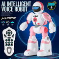 AI RC Robot for Kids with Gesture Induction Interactive, And lots more (PINK)