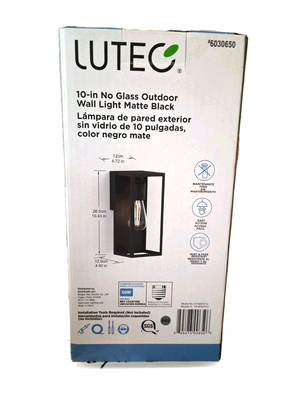 Lutec 1-Light Hardwired Outdoor Wall Light Sconce
