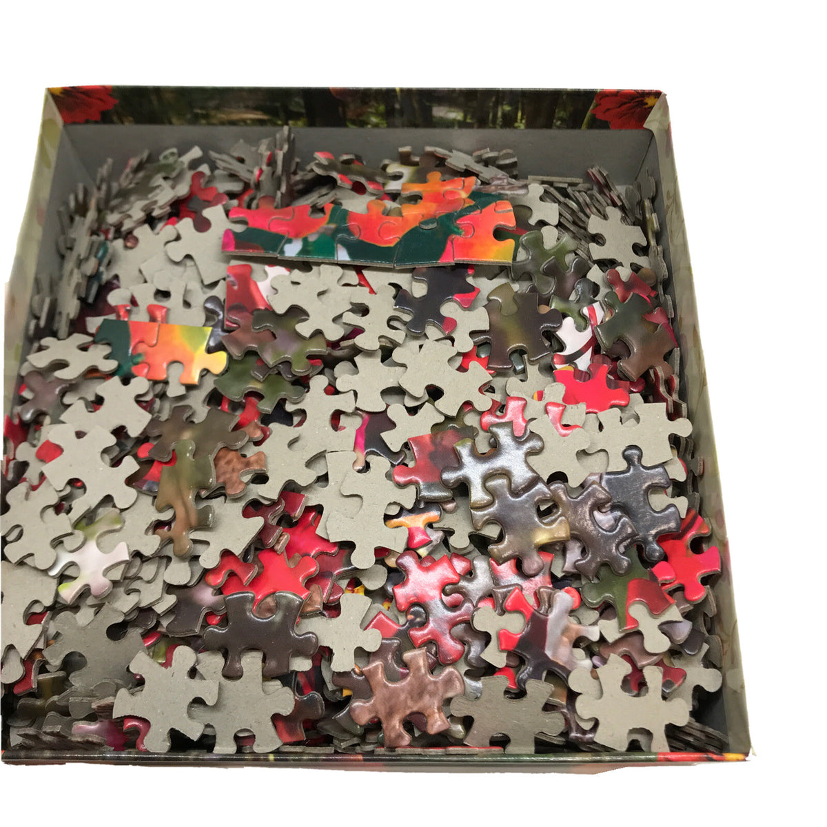 Forest Walk 1000 Piece Puzzle - Debbie Mocomber