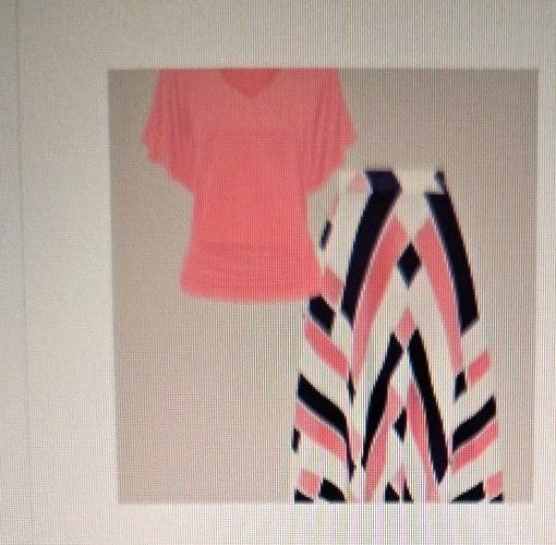 Plus Size 2 Pc 3X  Skirt Sets
