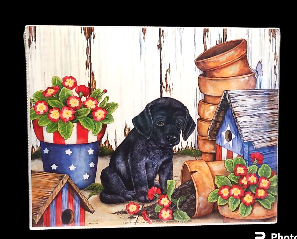 1997-2002 Scafa-Tornabene Art Litho Prints Various Prints #2 🌟